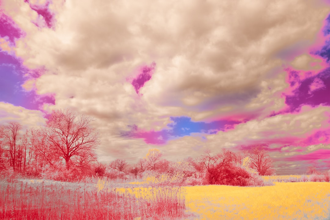 Midjourney V7 interface showing AI-generated images and prompt options